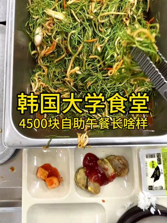 第70集|韩国大学食堂4500块自助午餐长啥样?