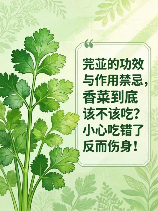 芫荽的功效与作用禁忌,香菜到底该不该吃?小心吃错了反而伤身!