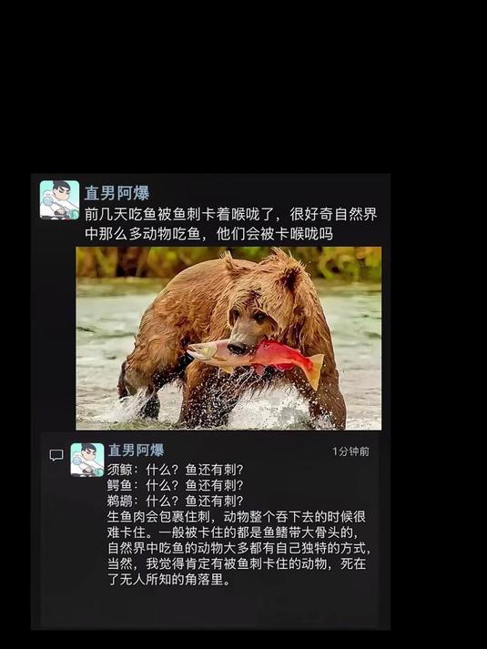 很好奇,那么多吃鱼的动物,它们会被鱼刺卡住吗?