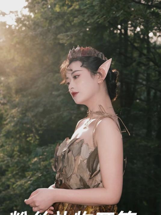 我人傻了 现在粉丝都这么硬核的吗