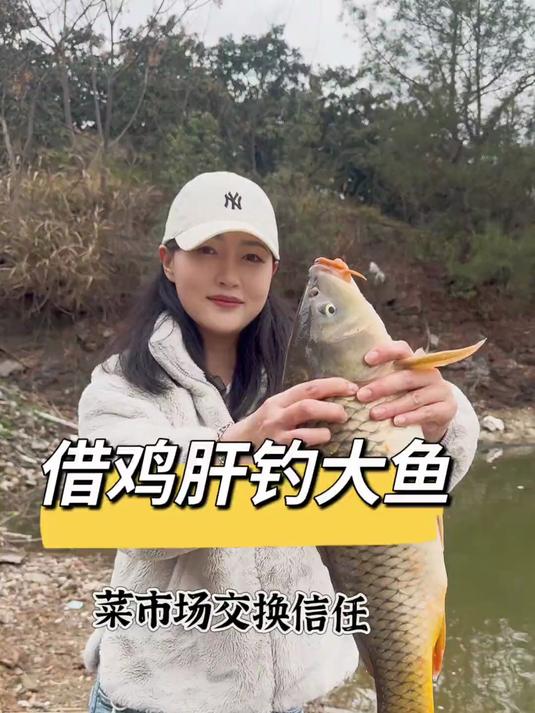 借鸡肝去钓鱼，万万没想到钓到的竟然是这个……