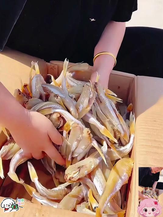 收拾干净的红娘鱼!蒜瓣肉红烧油炸糖醋炖豆腐!做麻辣都好吃