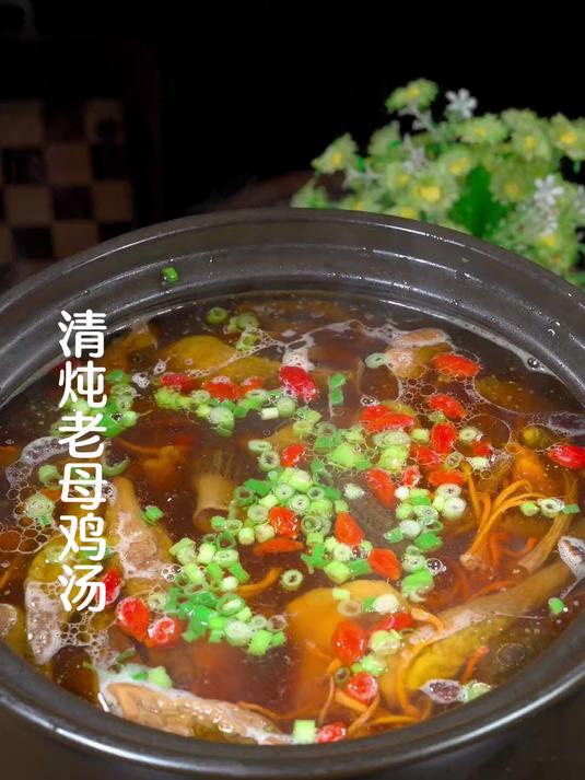 清炖老母鸡汤