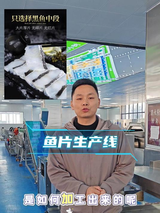 全自动化酸菜鱼肉切片加工设备,全套智能化免浆鱼片加工机器