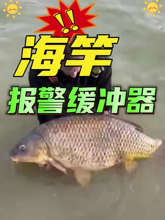 野钓不用盯竿了！海竿报警器帮你守，坐等鱼儿上钩