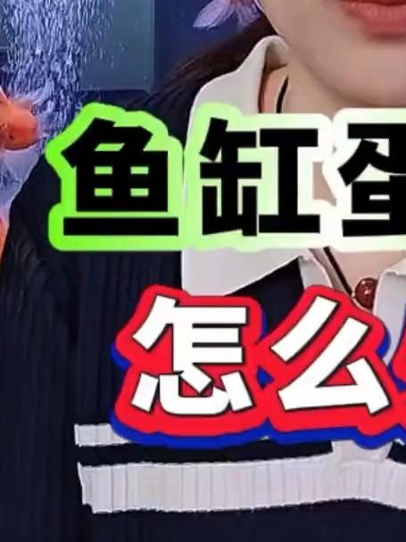 鱼缸蛋白虫怎么处理