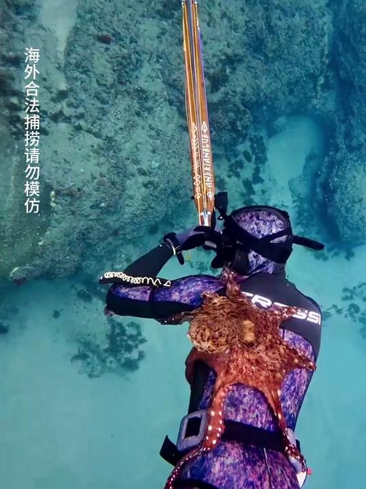带你体验下海捕鱼的快乐