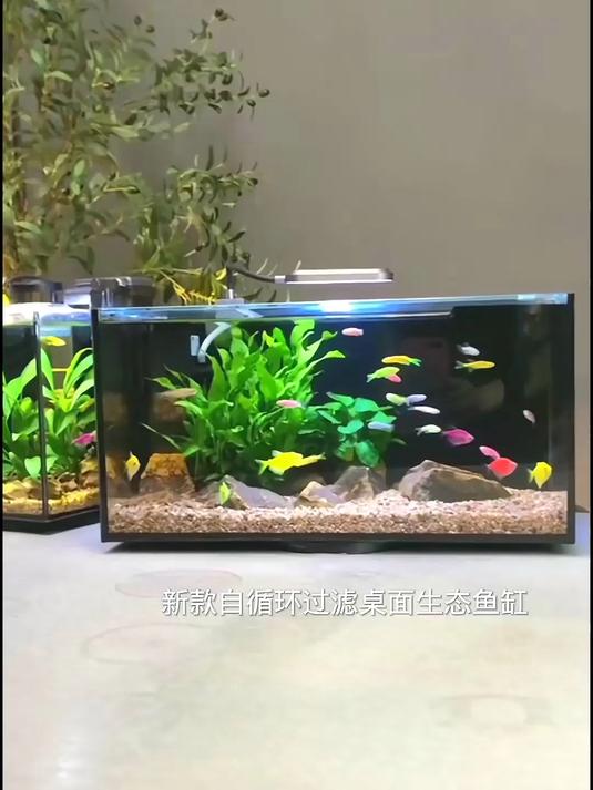 桌面生态鱼缸 自循环生态鱼缸,办公室客厅摆放更美观!