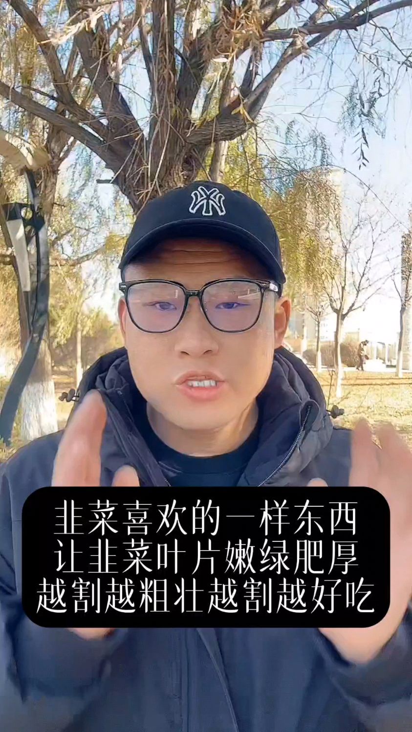 韭菜最喜欢的一样东西,用它喷一喷,让你的韭菜越割越粗壮越割越好吃。
