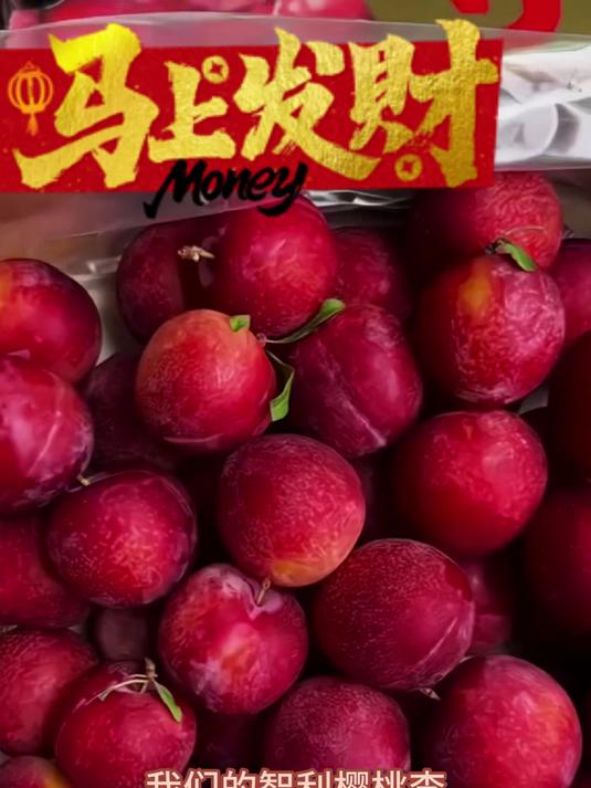果香浓郁,果肉脆嫩,这颗樱桃李太好吃了#酸甜可口非常好吃##多吃水果补充维生素#