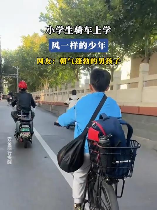 小学生骑车上学,风一样的少年,网友:朝气蓬勃的男孩子