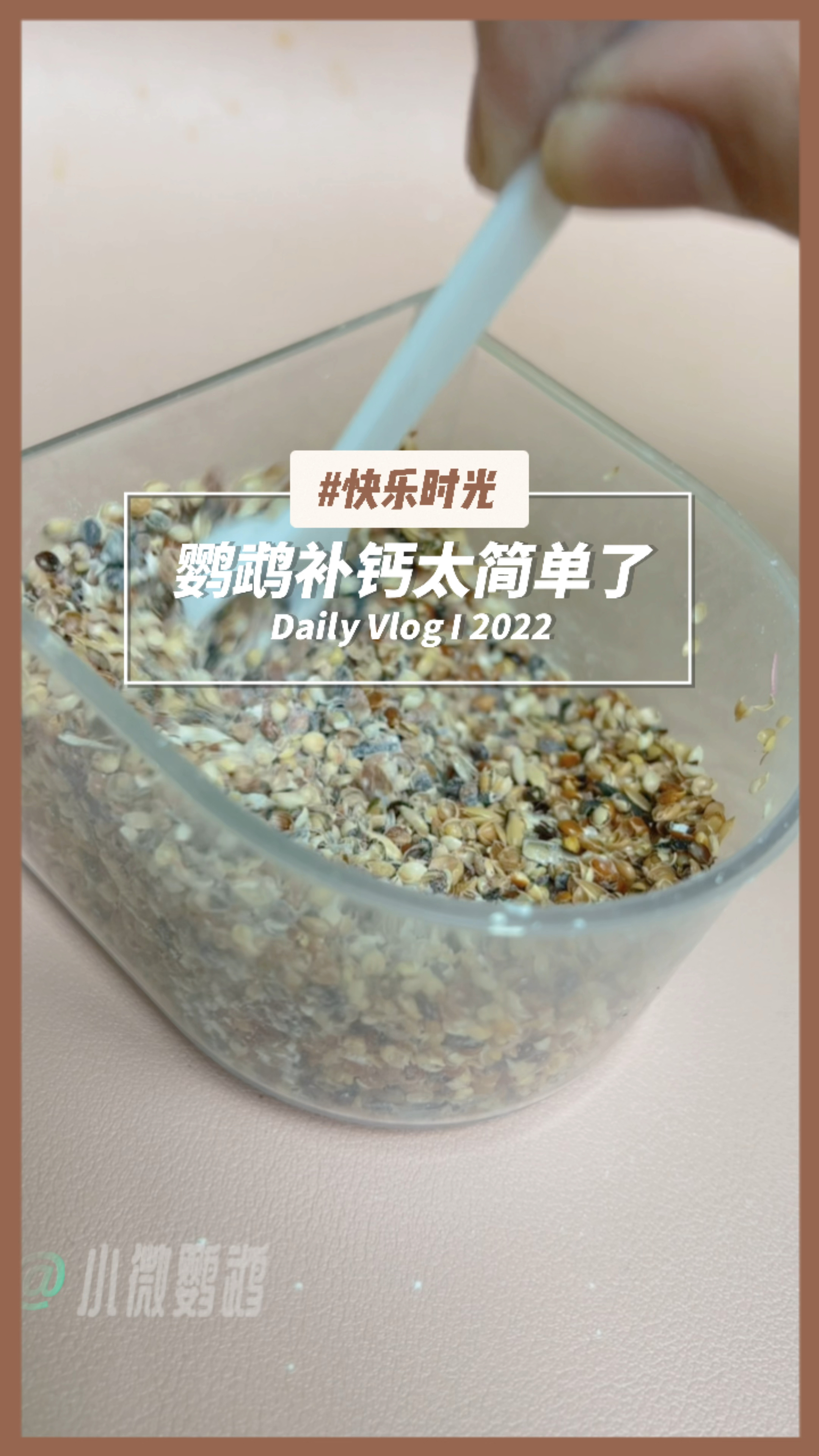 其实只需要在鸟粮里加点墨鱼骨粉,你会发现原来补钙太简单了