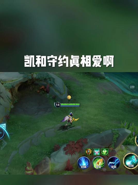 铠和守约是真相爱啊