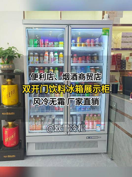 双开门饮料冰箱展示柜怎么选?