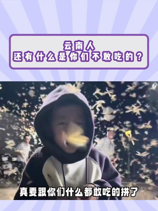 云南人油炸飞蚂蚁,还有什么是你们不敢吃的 云南人 广东人