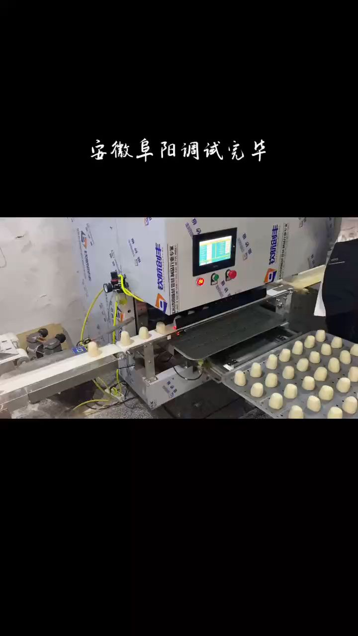 全自动摆盘机、方形馒头机通用、和面机、馒头机