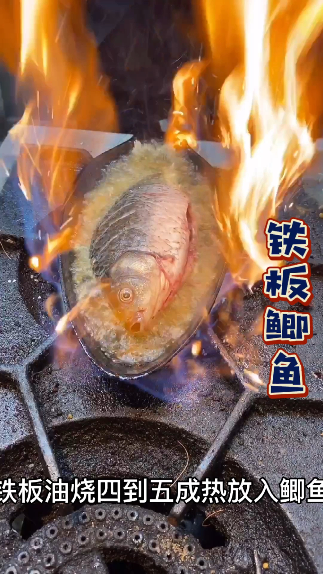 铁板鲫鱼教程