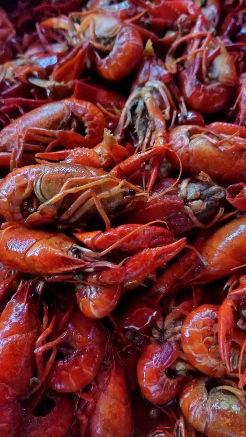 富顺县这座十八线城市,美女粉丝把小龙虾叫马虾,我跟她们科普一下