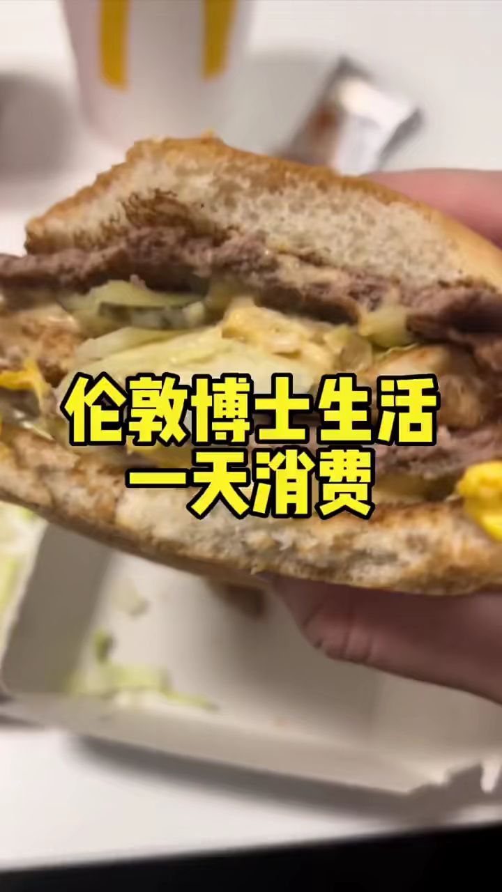 在全世界消费水平最高的城市生活一天到底要多少钱呢 #美食vlog