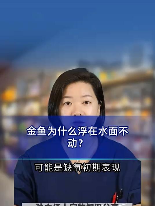 金鱼为什么浮在水面不动?