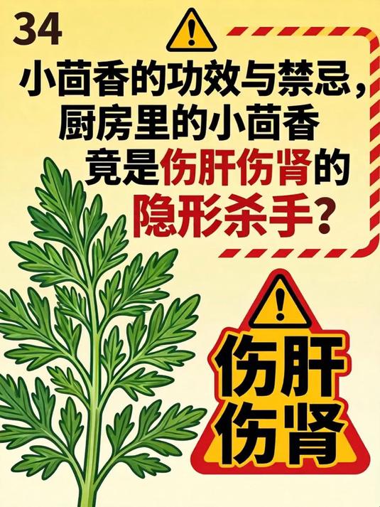 小茴香的功效与禁忌，厨房里的小茴香竟是伤肝伤肾的隐形杀手？