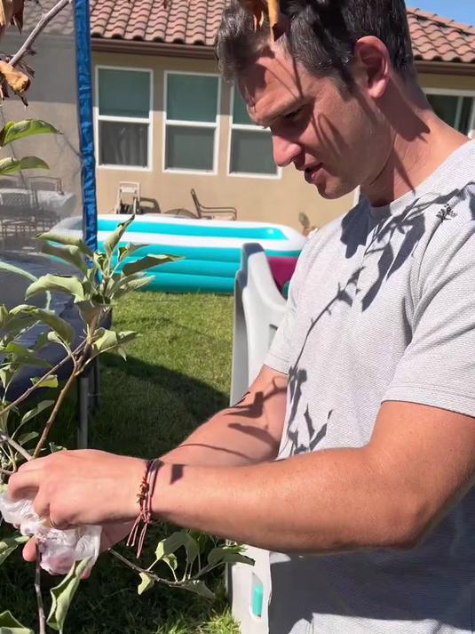 美国小镇的三餐四季,温暖有趣 四个人俩蔬菜!