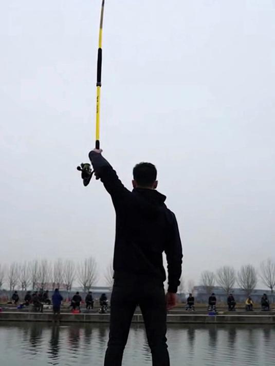 达瓦凛凤钓鱼竿 6H19 调 8H 轻量 碳素台钓大物竿