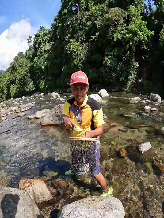 东南亚热带雨林，解锁绝美溪流鱼