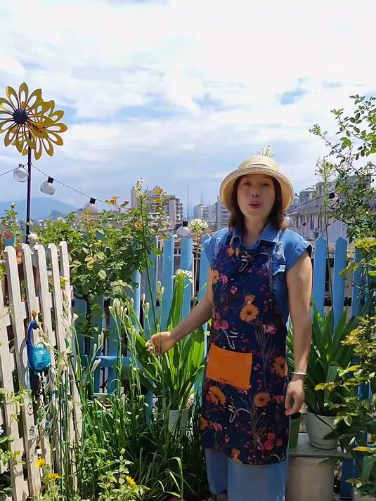 今天的蓝天背景很有宫崎骏的感觉，天鹅绒在五颜六色的花园里