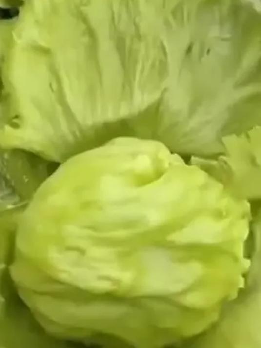 农家新采球生菜 多种吃法超美味 营养还好
