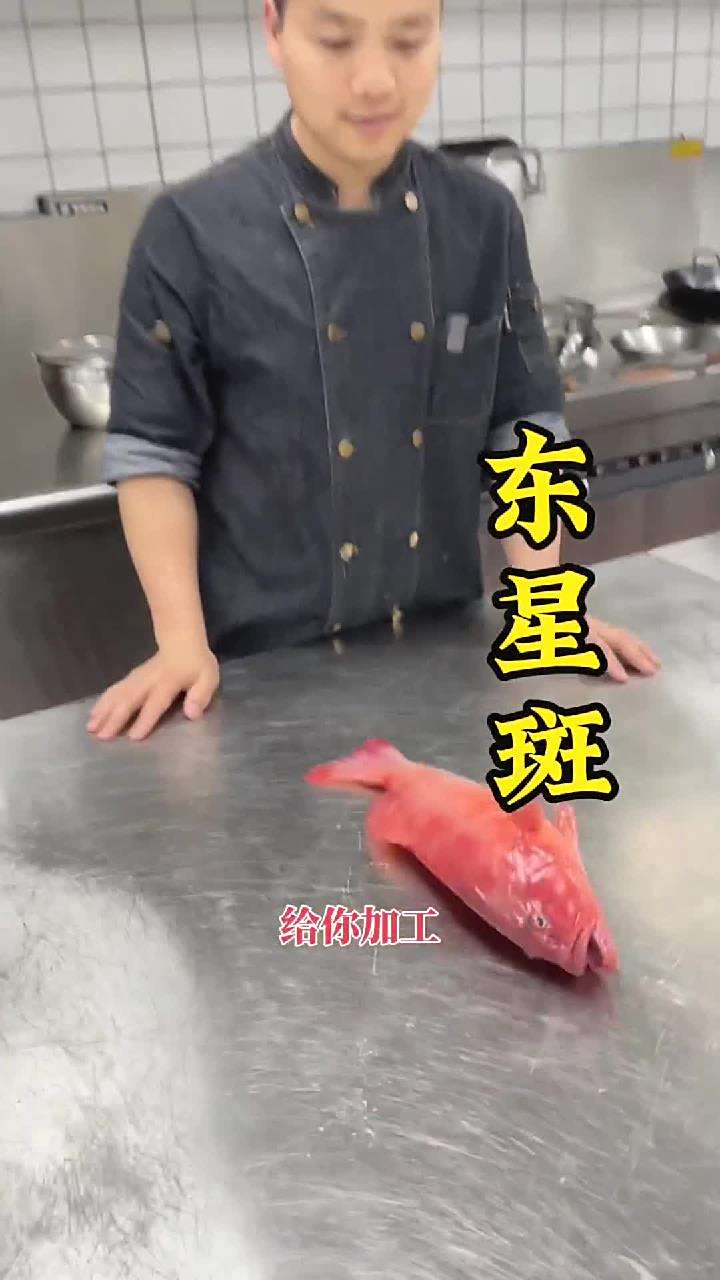 这次的东星斑,不做糖醋鱼了,我怕你们都来说我