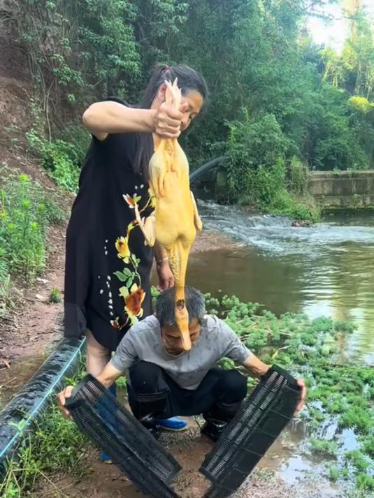 捕鱼笼！自动进鱼不易逃，折叠便携，江河湖海捕鱼高效