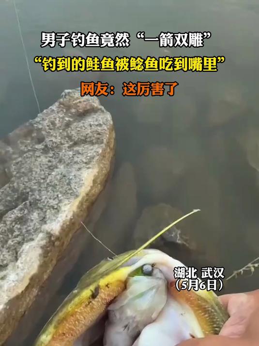 男子钓鱼竟然“一箭双雕”,“钓到的鲑鱼被鲶鱼吃到嘴里”