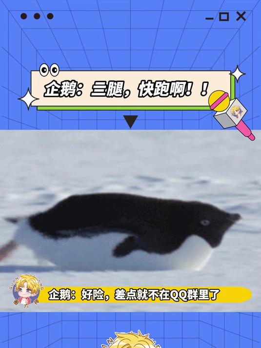 企鹅:还好跑得快!可爱