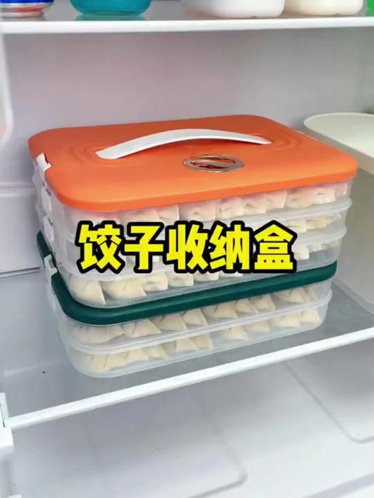 饺子还是得这样收纳！饺子盒 不干皮不串味，放在冰箱也不怕粘