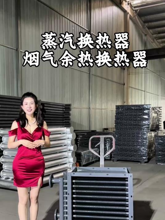 蒸汽换热器烟气余热换热器