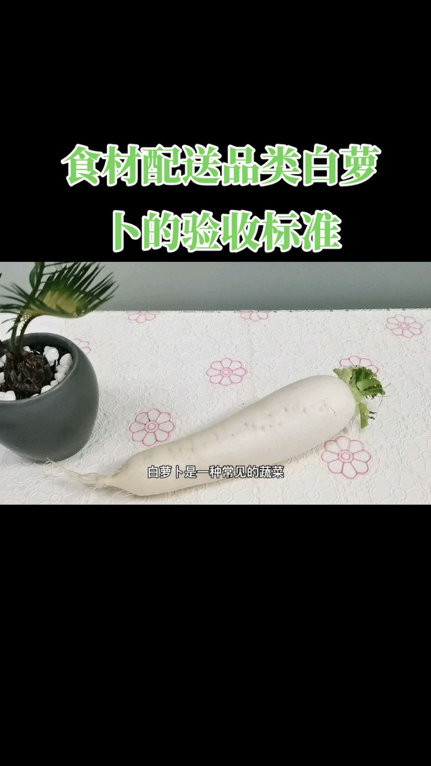 蔬菜配送公司教企事业单位食堂员工如何验收白萝卜