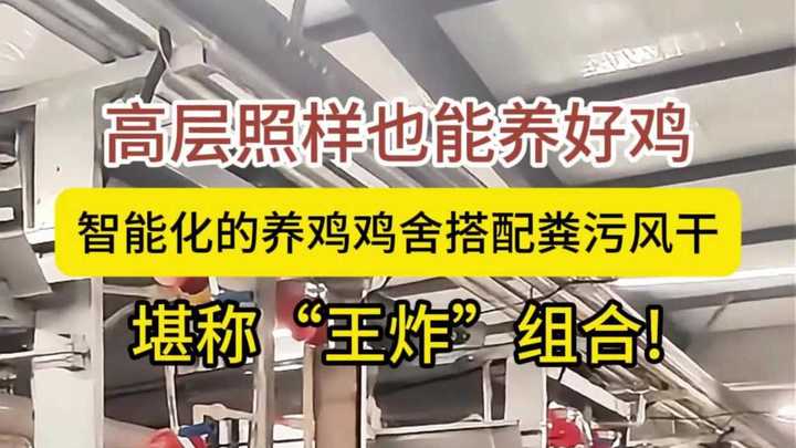 智能化的养鸡,自动化养鸡设备