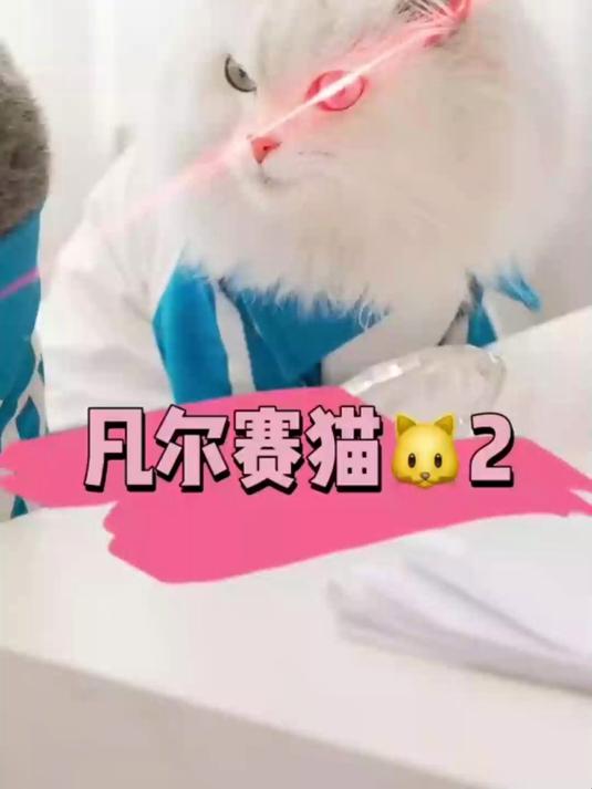 菜菜真可怜啊,无形中又被嘲讽了