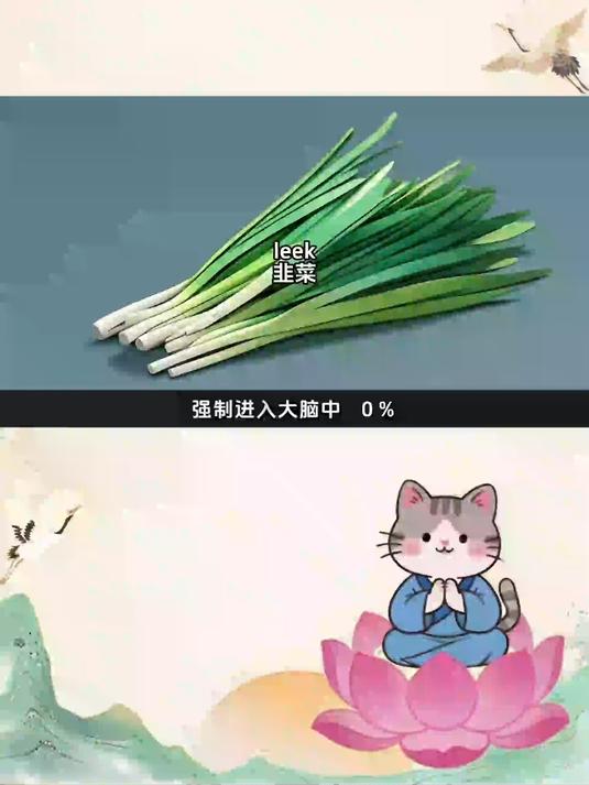 10秒钟记住一个单词 leek 韭菜