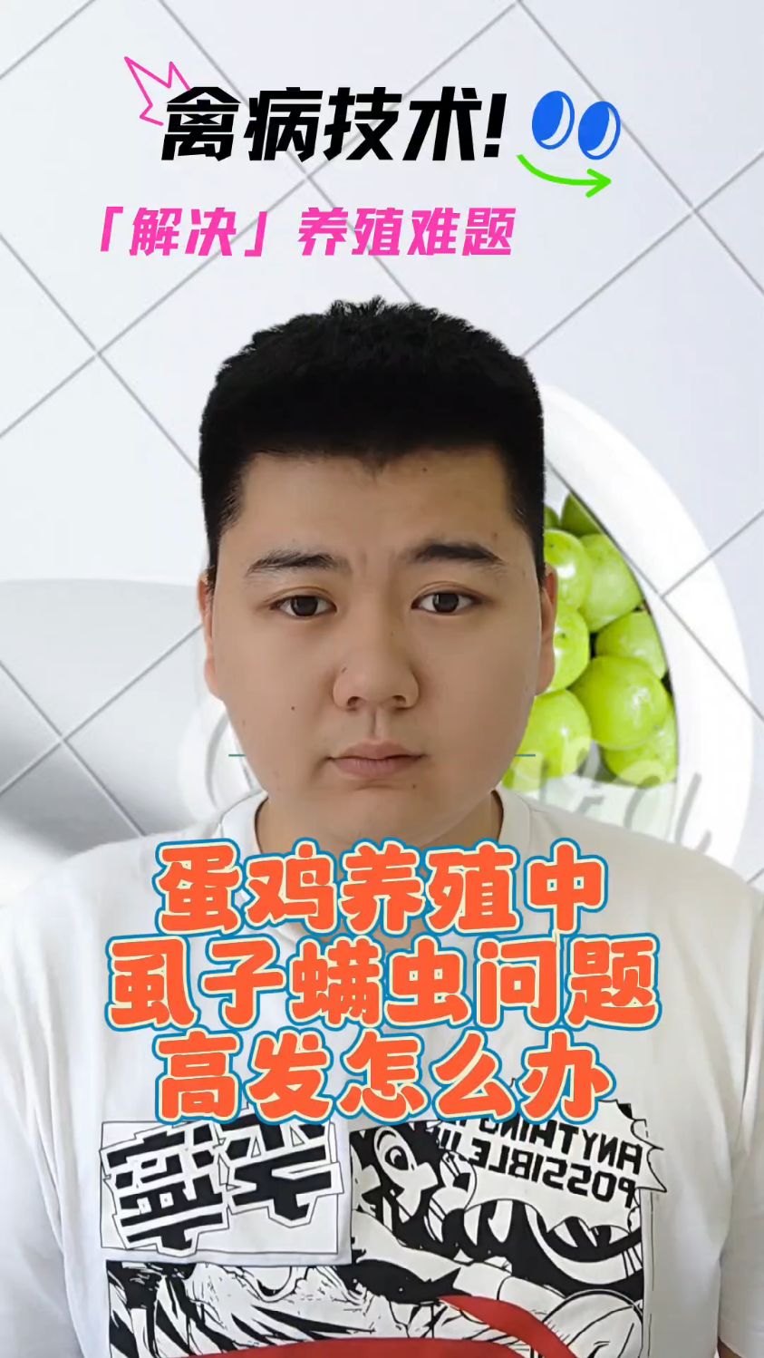 #鸡虱子螨虫的危害鸡虱子螨虫的危害为什么鸡虱子很难被消灭鸡身上为什么有虱子鸡身上