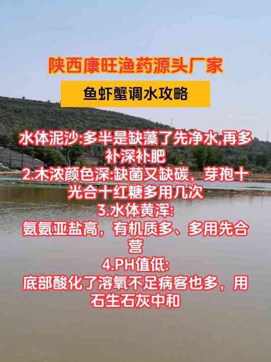 鱼虾蟹调水攻略!