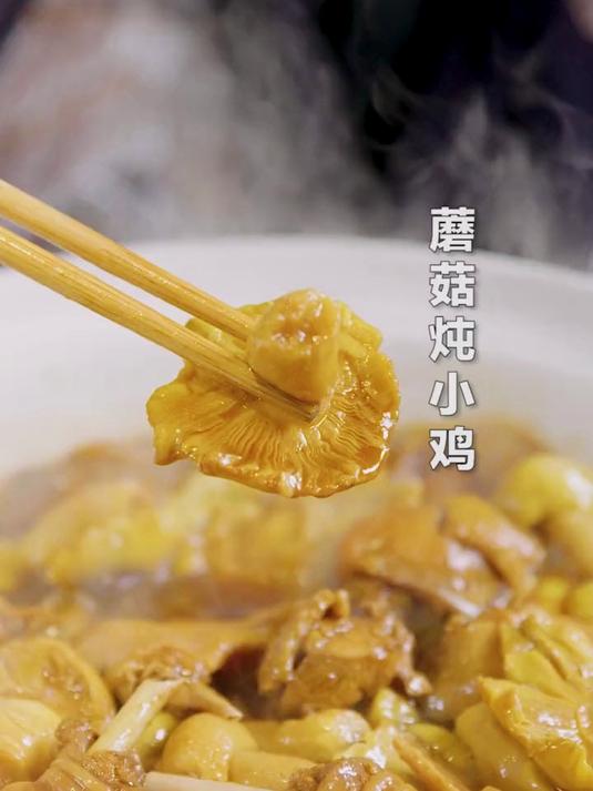 小鸡炖蘑菇让你活力满满，比鸡还贵的 谷熟菌你吃过吗？
