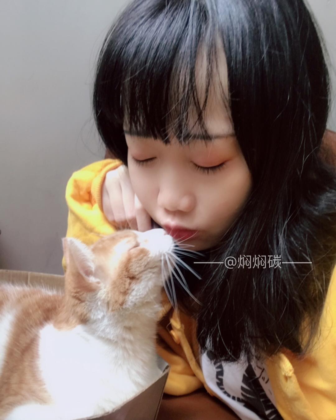 图片[781]-焖焖碳 NO.001 – 微博图片视频打包合集[1459P+98V657M]-六色网