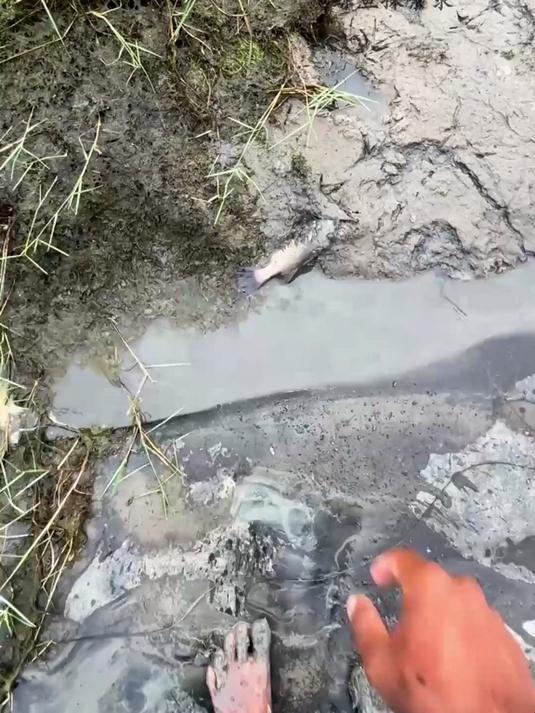 户外捕鱼：男人在干枯河流中抓捕鳞鲃鱼
