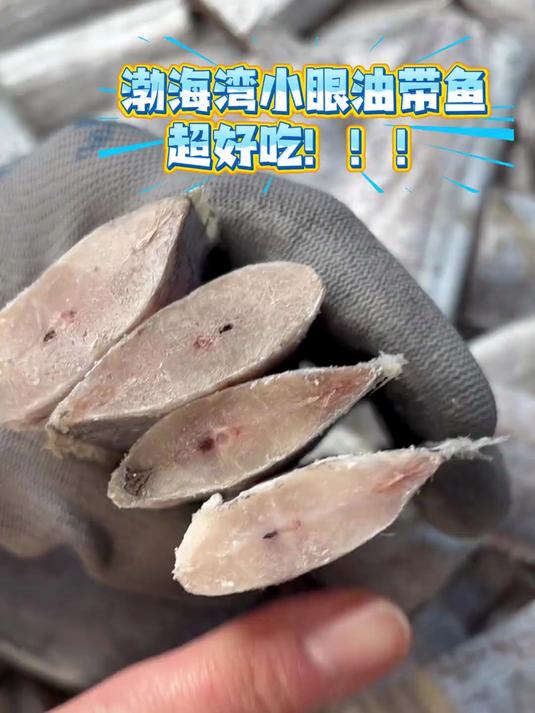 正宗渤海湾小眼油带鱼 #渤海湾海鲜 #带鱼段 #开海啦 优质带鱼段来啦!都是深海捕捞的好货