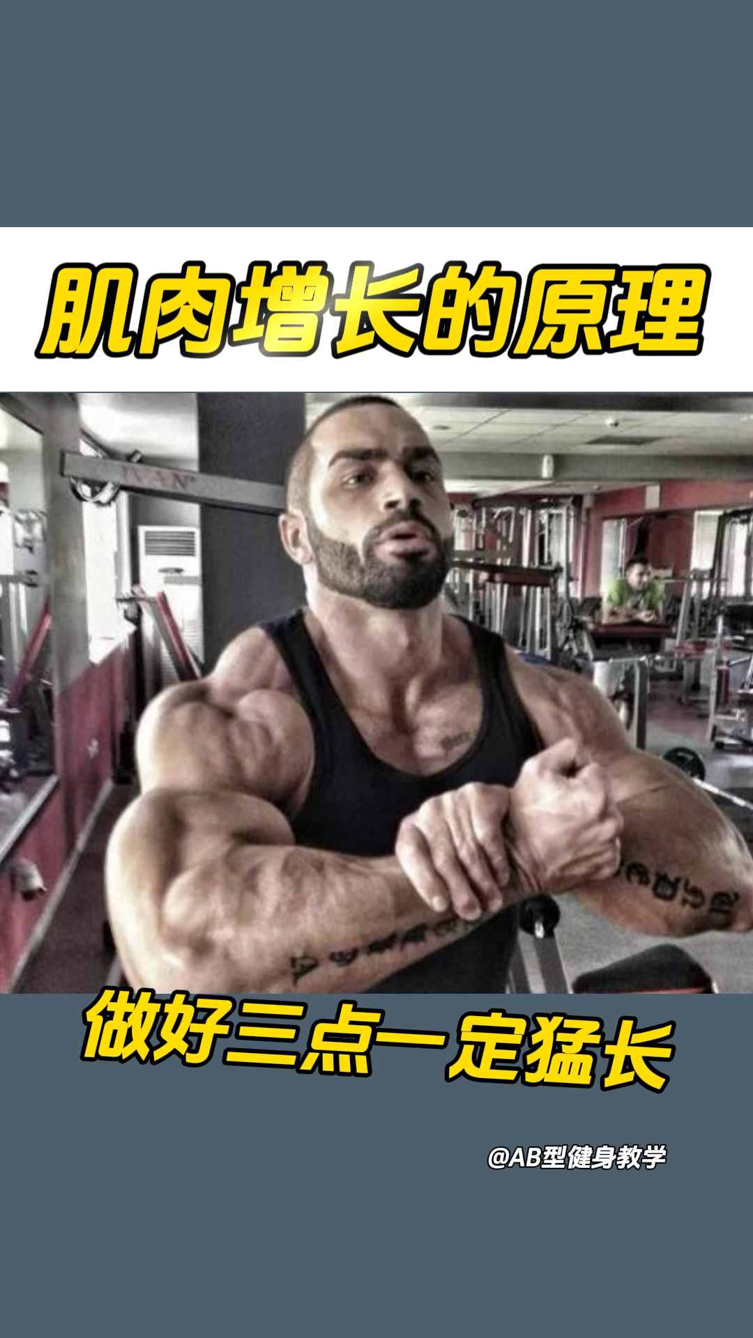 肌肉增长的原理