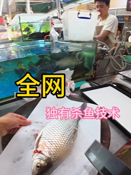 倒霉的土鲮鱼 #杀鱼技术#