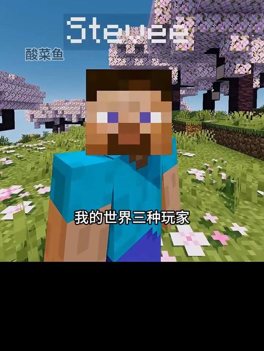 我的世界三种玩家类型#我的世界#MC#mc不灭#Mc酸菜鱼
