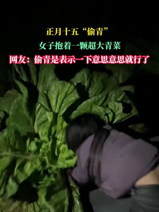 正月十五“偷青”,女子抱着一颗超大青菜